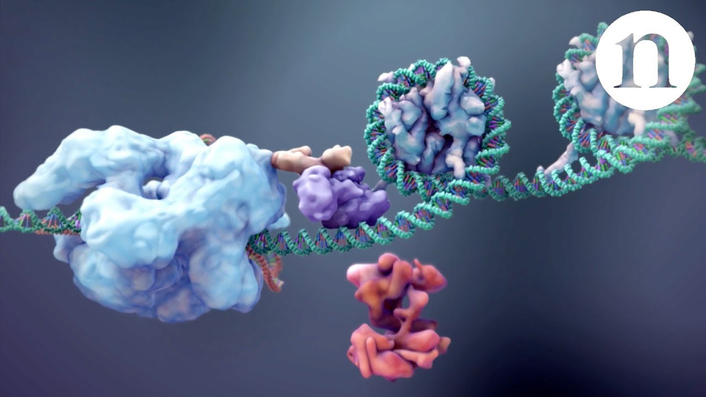 CRISPR: Gene editing and beyond (video by Nature on YouTube)