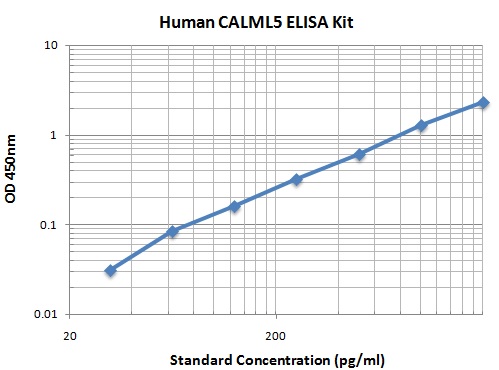 Typical Data Standard Curve